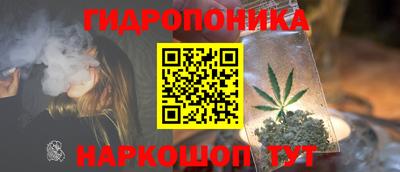 Альфа ПВП Пушкино